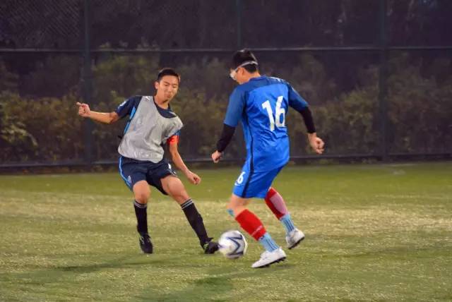 背后因素 背后因素