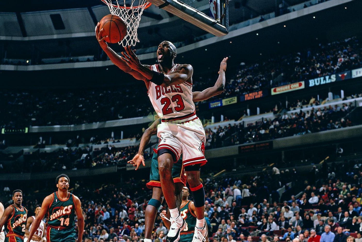 的统治力 的统治力