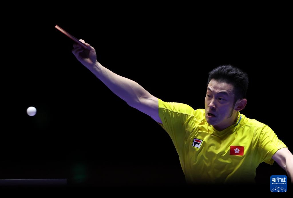 大胆启用了 大胆启用了