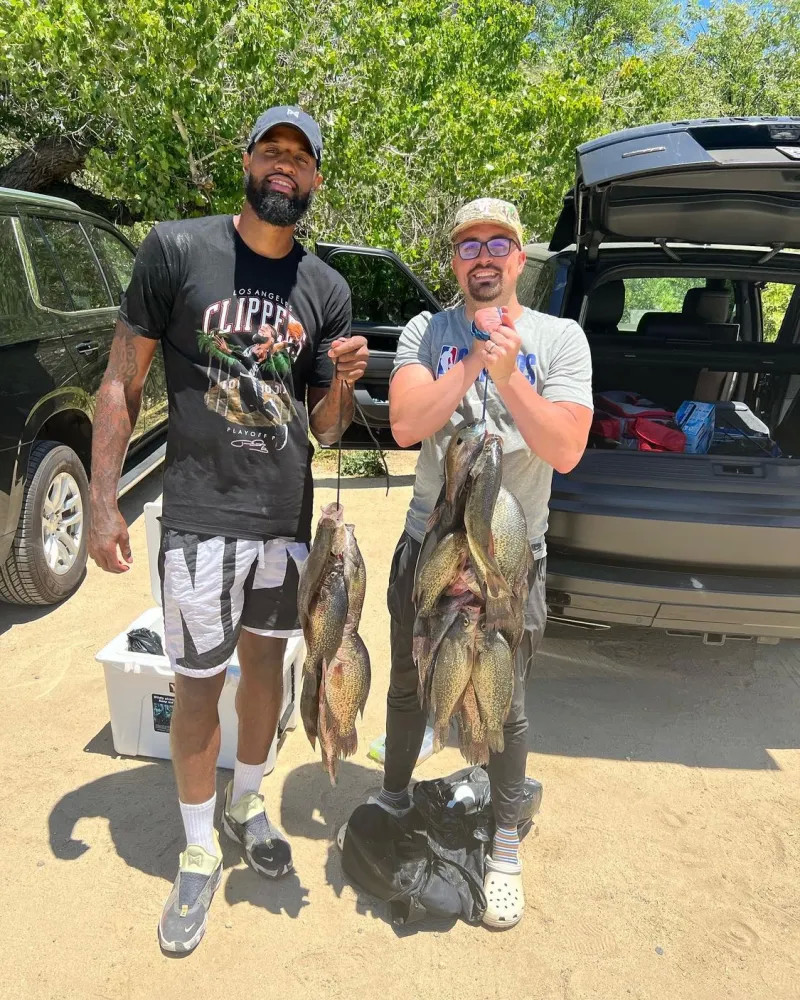 贵的参考 贵的参考