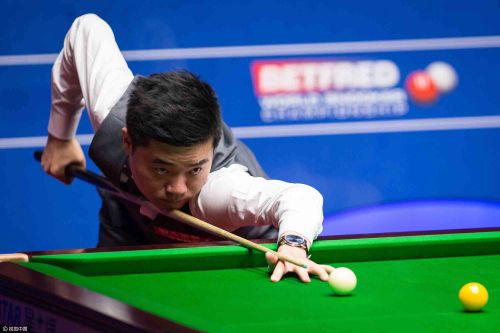 也向公众开 也向公众开